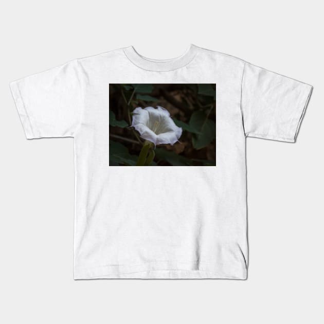 Sacred Datura - White Wildflower Kids T-Shirt by Debra Martz